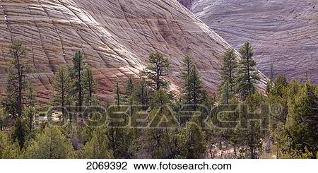 Rock Cliffs And Trees In Zion National Park; Utah United States Of America View Large Photo Image Stock Image - Rock Cliffs And Trees In Zion National Park; Utah United States Of America. Fotosearch