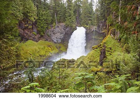 Picture - Sahalie Falls And Mckenzie River In Willamette National Forest; Oregon United States Of America. Fotosearch
