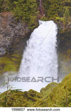 Sahalie Falls And Mckenzie River In Willamette National Forest; Oregon United States Of America View Large Photo Image Stock Photo - Sahalie Falls And Mckenzie River In Willamette National Forest; Oregon United States Of America. Fotosearch