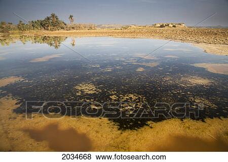 Stock Photo - Salt Water Sitting In A Dry Desert Field Outside The Town Of Siwa At The Siwa Oasis; Siwa Egypt. Fotosearch