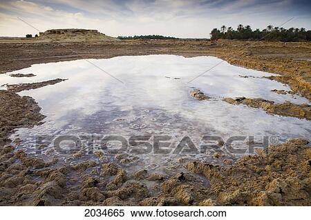 Salt Water Sitting In A Dry Desert Field Outside The Town Of Siwa At The Siwa Oasis; Siwa Egypt View Large Photo Image Stock Photography - Salt Water Sitting In A Dry Desert Field Outside The Town Of Siwa At The Siwa Oasis; Siwa Egypt. Fotosearch