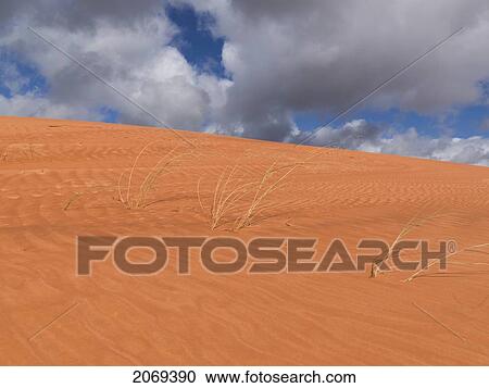 Stock Image - Sand Dunes And Tufts Of Dry Grass On An Arid Landscape; Utah United States Of America. Fotosearch