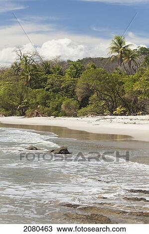 Santa teresa beach near mal pais (malpais) on the nicoya peninsula; puntarenas province costa rica View Large Photo Image Stock Image - Santa teresa beach near mal pais (malpais) on the nicoya peninsula; puntarenas province costa rica. Fotosearch