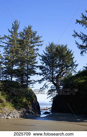 Stock Photo - Scenery At Long Beach In Pacific Rim National Park Near Tofino; British Columbia Canada. Fotosearch