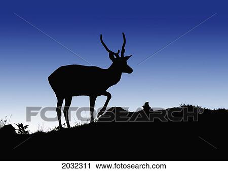 Stock Image - Silhouette Of A Deer Standing On A Hilltop At Dusk; North Yorkshire England. Fotosearch
