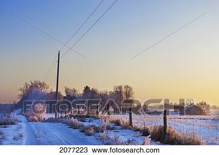 Snow and frost cover a rural road and farmland; parkland county alberta canada View Large Photo Image Stock Image - Snow and frost cover a rural road and farmland; parkland county alberta canada. Fotosearch
