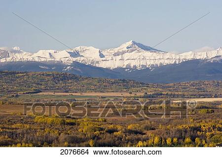 Snow capped mountains with fall colours along the foothills with blue sky; calgary alberta canada View Large Photo Image Picture - Snow capped mountains with fall colours along the foothills with blue sky; calgary alberta canada. Fotosearch