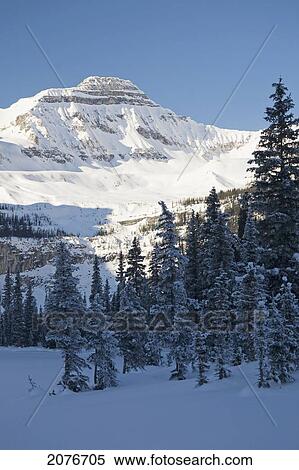 Snow covered mountain against a blue sky and a forest in winter; alberta canada View Large Photo Image Stock Photography - Snow covered mountain against a blue sky and a forest in winter; alberta canada. Fotosearch
