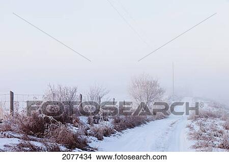 Picture - Snow covered rural road; parkland county alberta canada. Fotosearch