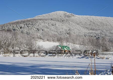 Stock Image - Snow Covered Trees On A Mountain And A Stable With A Green Roof; Iron Hill Quebec Canada. Fotosearch