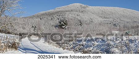 Snow Covered Trees On A Mountain; Iron Hill Quebec Canada View Large Photo Image Stock Image - Snow Covered Trees On A Mountain; Iron Hill Quebec Canada. Fotosearch