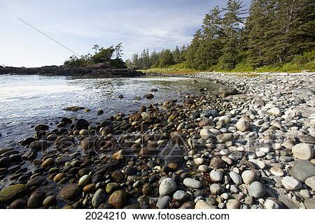 South Beach In Pacific Rim National Park Near Tofino; British Columbia Canada View Large Photo Image Stock Image - South Beach In Pacific Rim National Park Near Tofino; British Columbia Canada. Fotosearch