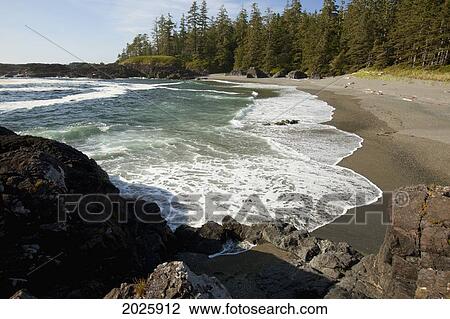 Stock Image - South Beach In Pacific Rim National Park Near Tofino; British Columbia Canada. Fotosearch