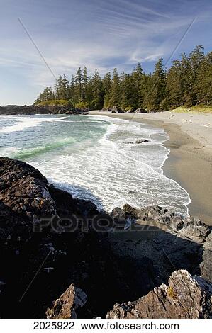 Stock Image - South Beach In Pacific Rim National Park Near Tofino; British Columbia Canada. Fotosearch