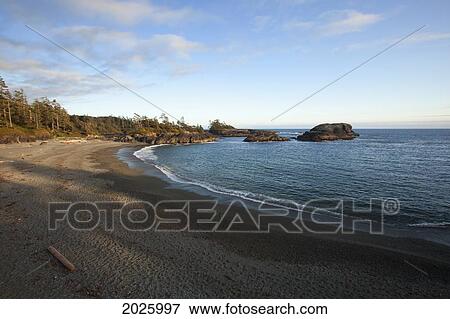 South Beach In Pacific Rim National Park Near Tofino; British Columbia Canada View Large Photo Image Stock Photo - South Beach In Pacific Rim National Park Near Tofino; British Columbia Canada. Fotosearch
