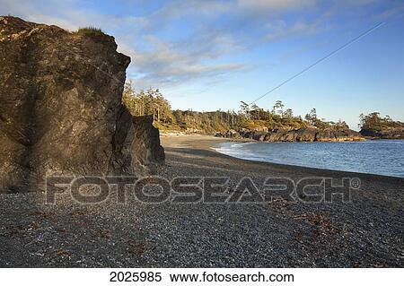 South Beach In Pacific Rim National Park Near Tofino; British Columbia Canada View Large Photo Image Stock Photography - South Beach In Pacific Rim National Park Near Tofino; British Columbia Canada. Fotosearch