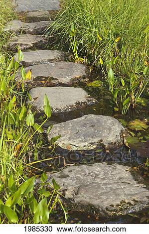 Stepping Stones On Garnish Island; Glengarriff County Cork Republic Of Ireland View Large Photo Image Stock Image - Stepping Stones On Garnish Island; Glengarriff County Cork Republic Of Ireland. Fotosearch
