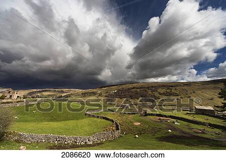Stone wall winds across the grass fields with storm clouds approaching; swaledale england View Large Photo Image Stock Image - Stone wall winds across the grass fields with storm clouds approaching; swaledale england. Fotosearch