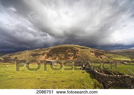 Storm clouds over hills with grazing sheep; swaledale england View Large Photo Image Stock Image - Storm clouds over hills with grazing sheep; swaledale england. Fotosearch