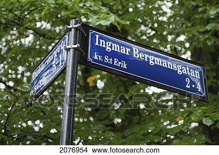 Street sign with a tree in the background; uppsala sweden View Large Photo Image Picture - Street sign with a tree in the background; uppsala sweden. Fotosearch