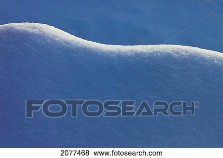Sunlight on the snow; parkland county alberta canada View Large Photo Image Stock Photo - Sunlight on the snow; parkland county alberta canada. Fotosearch