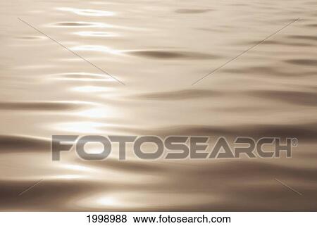 Sunlight Reflecting On The Water At Sunset; Spicer Minnesota United States Of America View Large Photo Image Stock Photo - Sunlight Reflecting On The Water At Sunset; Spicer Minnesota United States Of America. Fotosearch