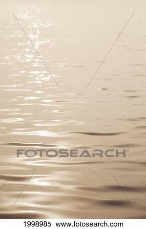 Sunlight Reflecting On The Water At Sunset; Spicer Minnesota United States Of America View Large Photo Image Stock Photography - Sunlight Reflecting On The Water At Sunset; Spicer Minnesota United States Of America. Fotosearch