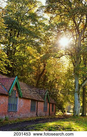 Sunlight Shines Through The Trees Onto The Grass Beside A Brick Building; Durham England View Large Photo Image Stock Image - Sunlight Shines Through The Trees Onto The Grass Beside A Brick Building; Durham England. Fotosearch
