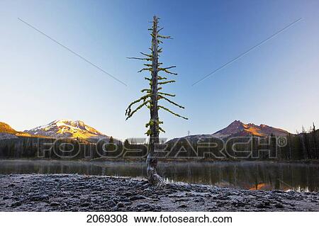 Sunrise Over Sparks Lake And The Three Sisters Wilderness; Oregon United States Of America View Large Photo Image Stock Photo - Sunrise Over Sparks Lake And The Three Sisters Wilderness; Oregon United States Of America. Fotosearch