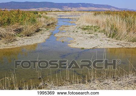 Tablas De Daimiel National Park; Ciudad Real Province Spain View Large Photo Image Stock Photo - Tablas De Daimiel National Park; Ciudad Real Province Spain. Fotosearch