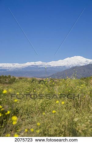 Stock Image - The Andes And The Precordillera From Ruta 7; Mendoza Argentina. Fotosearch