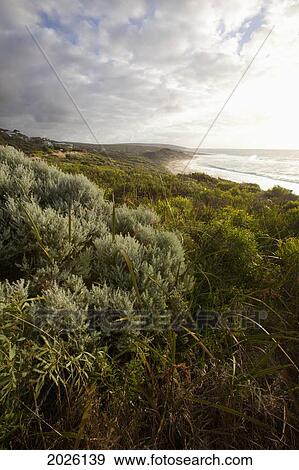 The Beach And Cliffs Along The Coast; Yallingup Western Australia Australia View Large Photo Image Stock Photo - The Beach And Cliffs Along The Coast; Yallingup Western Australia Australia. Fotosearch
