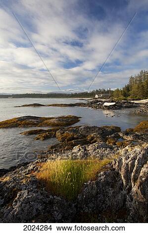 The Coastline Between Wickaninnish Beach And South Beach In Pacific Rim National Park Near Tofino; British Columbia Canada View Large Photo Image Picture - The Coastline Between Wickaninnish Beach And South Beach In Pacific Rim National Park Near Tofino; British Columbia Canada. Fotosearch