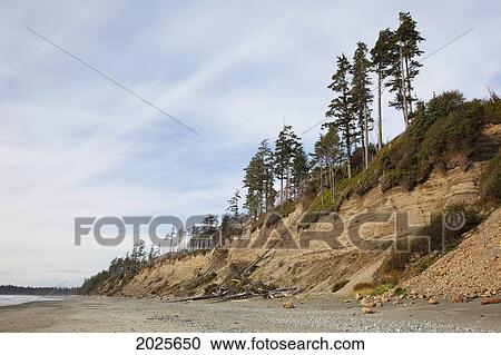 Stock Image - The Eroding Sand Cliffs At Florencia Bay In Pacific Rim National Park Near Tofino; British Columbia Canada. Fotosearch