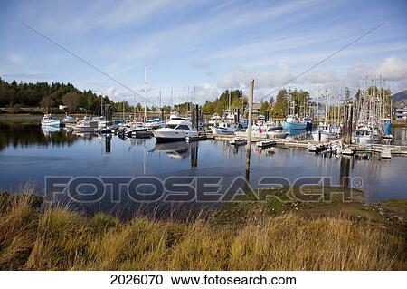 The Marina In A Quaint Fishing Village; Ucluelet British Columbia Canada View Large Photo Image Stock Image - The Marina In A Quaint Fishing Village; Ucluelet British Columbia Canada. Fotosearch