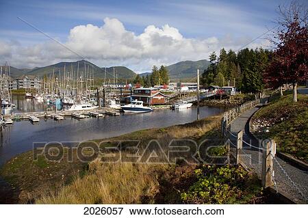 The Marina In A Quaint Fishing Village; Ucluelet British Columbia Canada View Large Photo Image Stock Photo - The Marina In A Quaint Fishing Village; Ucluelet British Columbia Canada. Fotosearch