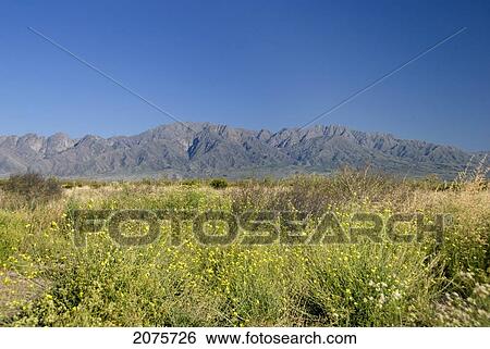 Stock Photograph - The Precordillera Of The Andes West Of Mendoza; Argentina. Fotosearch