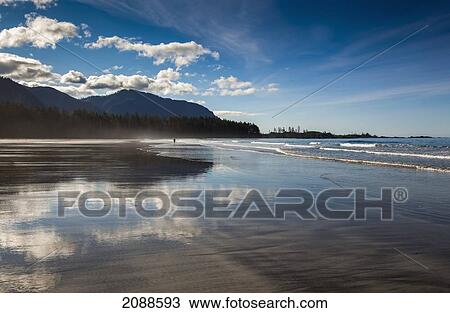 The sandy beach at rugged point marine park on the west coast of vancouver island; british columbia canada View Large Photo Image Stock Image - The sandy beach at rugged point marine park on the west coast of vancouver island; british columbia canada. Fotosearch