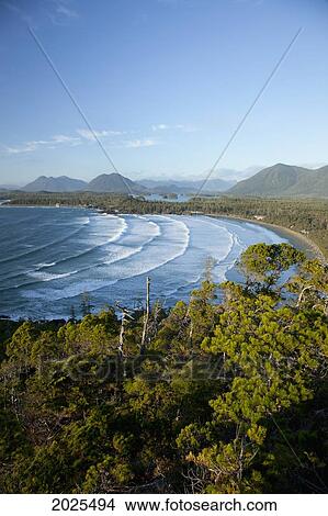 Picture - The View Of Cox Bay And Surrounding Mountains And Temperate Rainforest Near Tofino; British Columbia Canada. Fotosearch