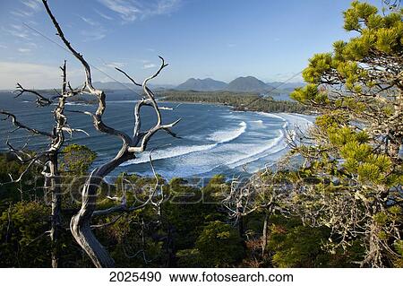 Stock Image - The View Of Cox Bay And Surrounding Mountains And Temperate Rainforest Near Tofino; British Columbia Canada. Fotosearch