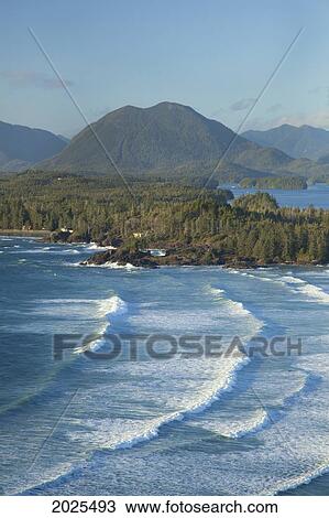 The View Of Cox Bay And Surrounding Mountains And Temperate Rainforest Near Tofino; British Columbia Canada View Large Photo Image Stock Image - The View Of Cox Bay And Surrounding Mountains And Temperate Rainforest Near Tofino; British Columbia Canada. Fotosearch