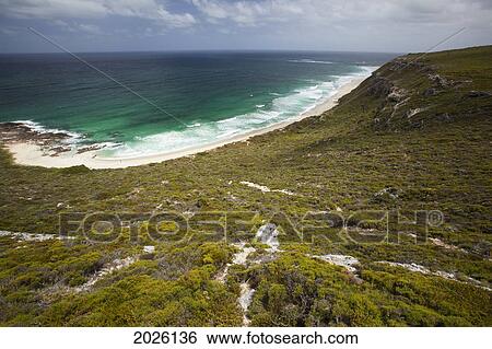 The View Overlooking Conto's Beach In The Leeuwin-Naturaliste National Park In The Southwest Corner Of Western Australia; Western Australia Australia View Large Photo Image Stock Photograph - The View Overlooking Conto's Beach In The Leeuwin-Naturaliste National Park In The Southwest Corner Of Western Australia; Western Australia Australia. Fotosearch