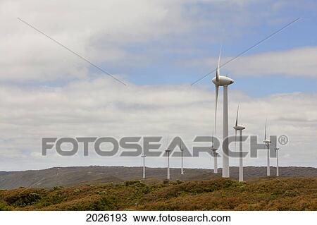 The Wind Turbines At The Albany Wind Farm At Sandpatch; Albany Western Australia Australia View Large Photo Image Stock Image - The Wind Turbines At The Albany Wind Farm At Sandpatch; Albany Western Australia Australia. Fotosearch