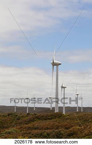 The Wind Turbines At The Albany Wind Farm At Sandpatch; Albany Western Australia Australia View Large Photo Image Stock Photo - The Wind Turbines At The Albany Wind Farm At Sandpatch; Albany Western Australia Australia. Fotosearch