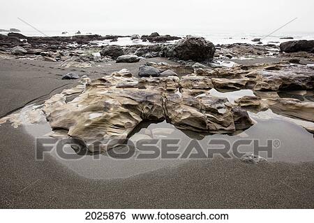 Stock Photograph - Tide Pools In The Fog At Sombrio Beach Along The Juan De Fuca Hiking Trail On Vancouver Island; British Columbia Canada. Fotosearch