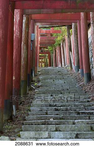 Stock Image - Torii gates and stone stairs; koyasan wakayama japan. Fotosearch