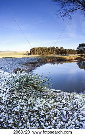 Stock Image - Traces Of Snow On The Grass Along A Stream; Northumberland England. Fotosearch