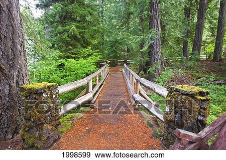 Trail To Sahalie Falls And Mckenzie River In Willamette National Forest; Oregon United States Of America View Large Photo Image Stock Photo - Trail To Sahalie Falls And Mckenzie River In Willamette National Forest; Oregon United States Of America. Fotosearch