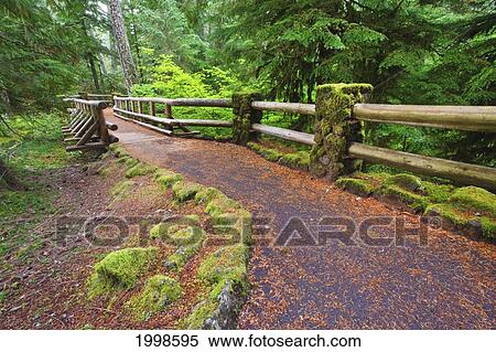 Trail To Sahalie Falls And Mckenzie River In Willamette National Forest; Oregon United States Of America View Large Photo Image Stock Photography - Trail To Sahalie Falls And Mckenzie River In Willamette National Forest; Oregon United States Of America. Fotosearch