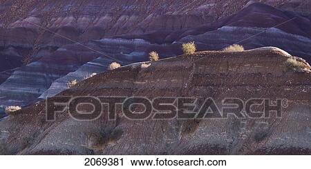 Stock Image - Trees Growing Along A Rock Ledge In Kane County; Pahreah Utah United States Of America. Fotosearch